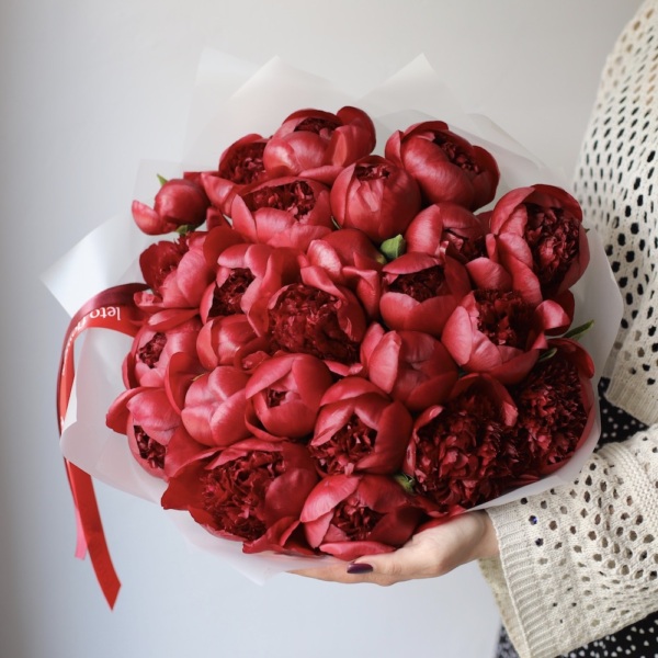 Winy Peony - 25 пионов