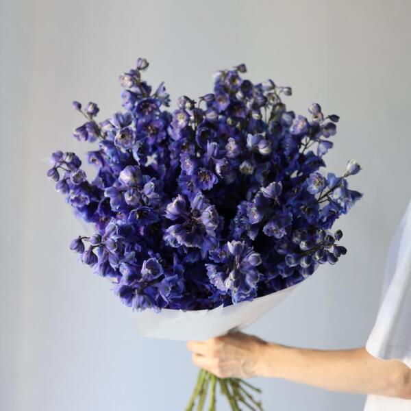 Blue Delphinium - 19 дельфиниумов