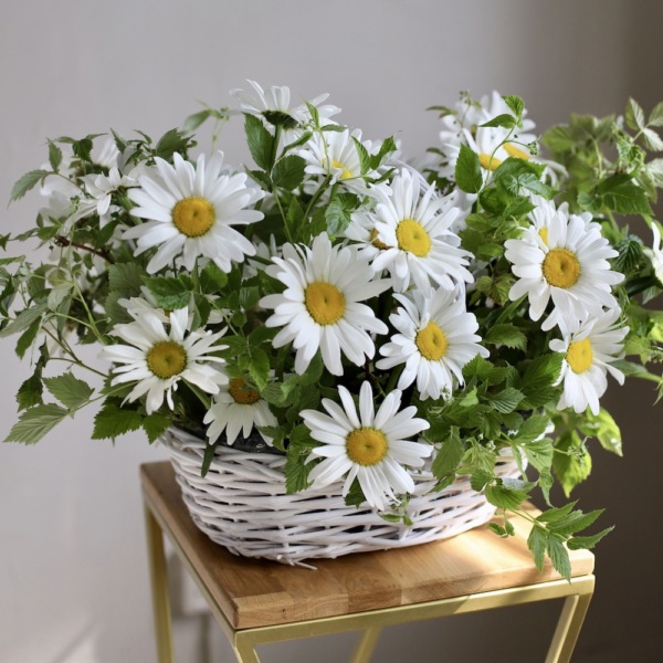 Basket of Chamomile - Размер S