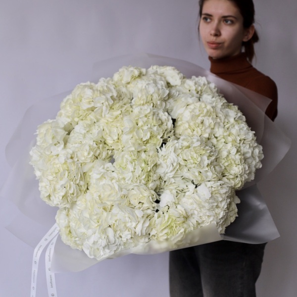 Colombian Hydrangeas - 25 гортензий