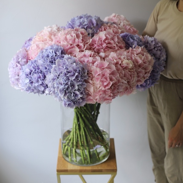 Hydrangeas in a vase - 29 гортензий