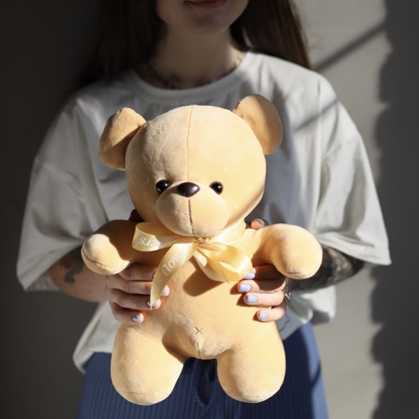 Teddy bear toy