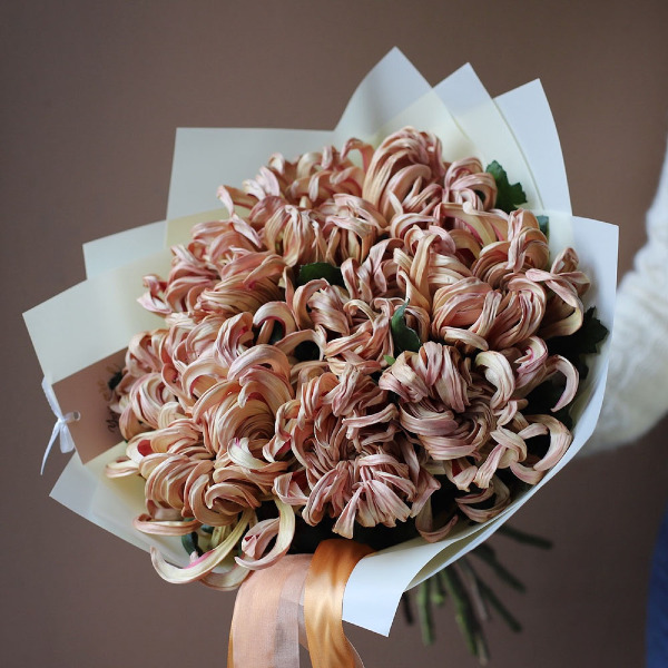 Curly caramel Chrysanthemum - 9 хризантем