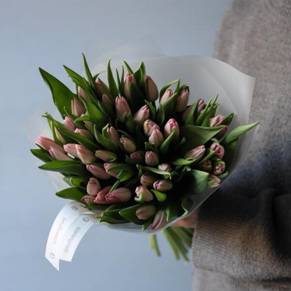 Light-pink Tulips - 49 тюльпанов