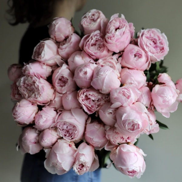 Pink Peony -  25 пионов 