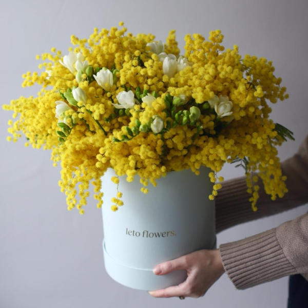 Mimosa with Freesia in a hat box - Размер L 