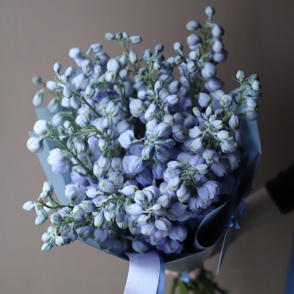 Lavender Delphinium - 19 дельфиниумов