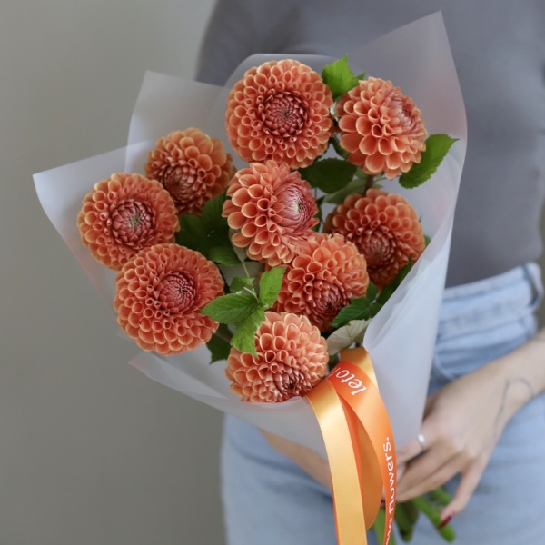 Orange Dahlia -  9 георгин 