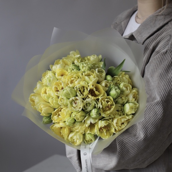 Yellow Tulips - 39 тюльпанов