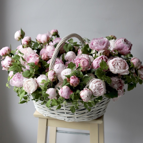 Peonies in a basket - Размер XL