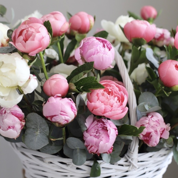 Basket of Peonies of different colors