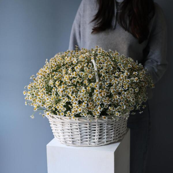 Basket of Spray Daisies - Размер M