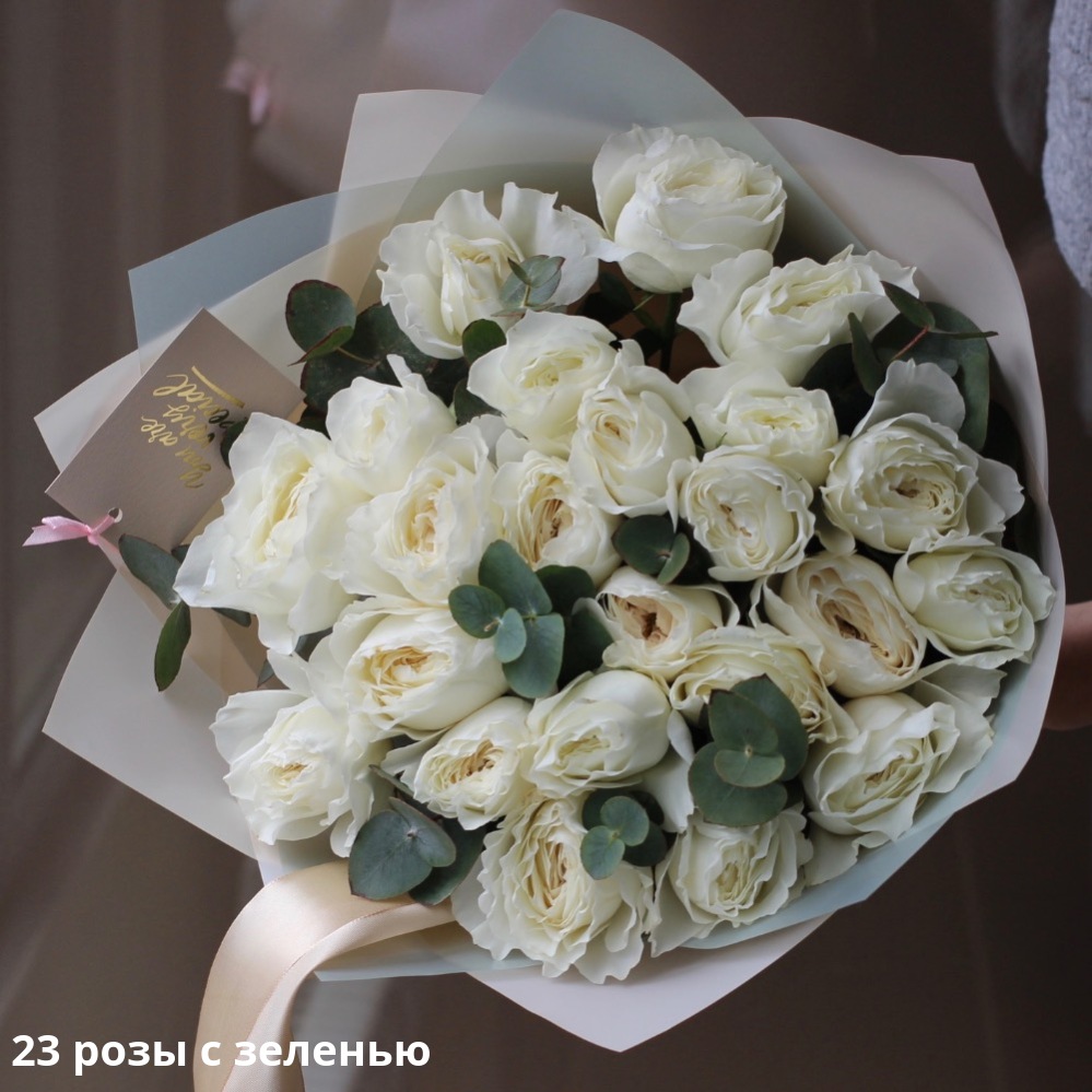 White Cloud David Austin Rose White Cloud David Austin Rose - 23 розы с зеленью