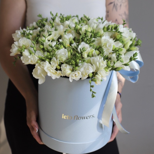 Freesia in a hat box - Размер L 