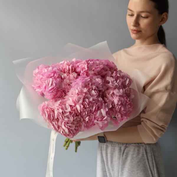Colombian Hydrangeas - 9 гортензий