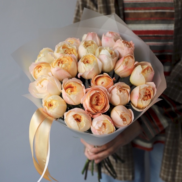 Princess Aiko garden roses - 23 роза