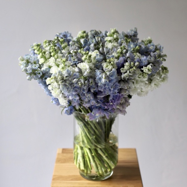 Stock and Delphinium in a vase - Размер L