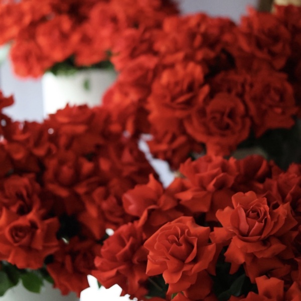 Flower set Hollywood - Размер M