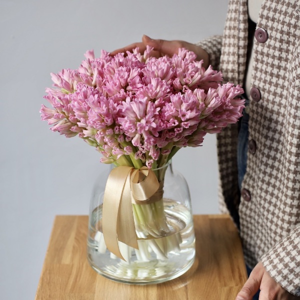 Hyacinthus in a vase - 25 гиацинтов