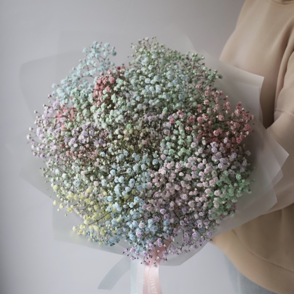 Rainbow Baby's Breath - 15 гипсофил