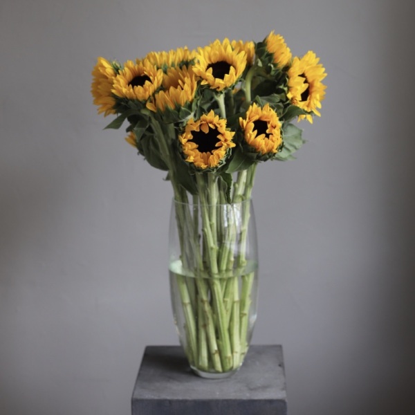 Sunflowers in a vase - 19 подсолнухов