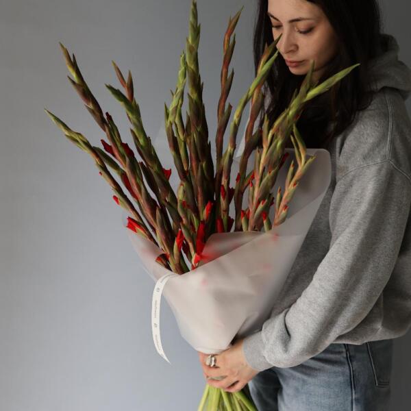 Red Gladiolus - 19 гладиоусов