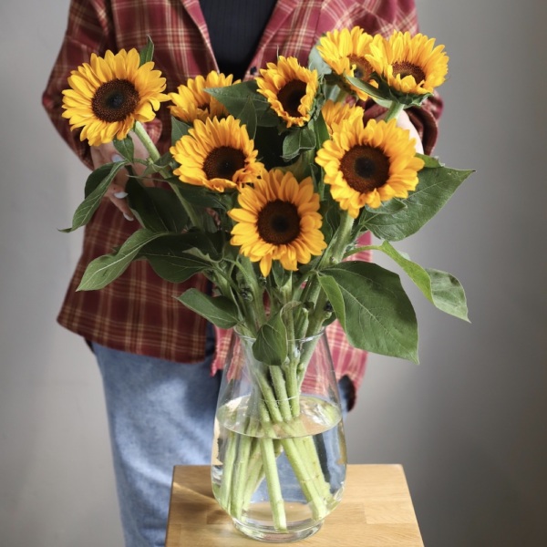 Sunflowers in a vase - 9 подсолнухов