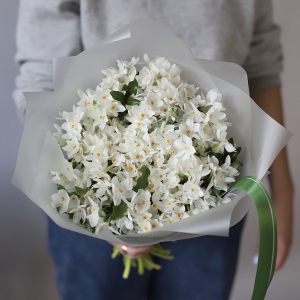 White spray Daffodils -  49 нарциссов 