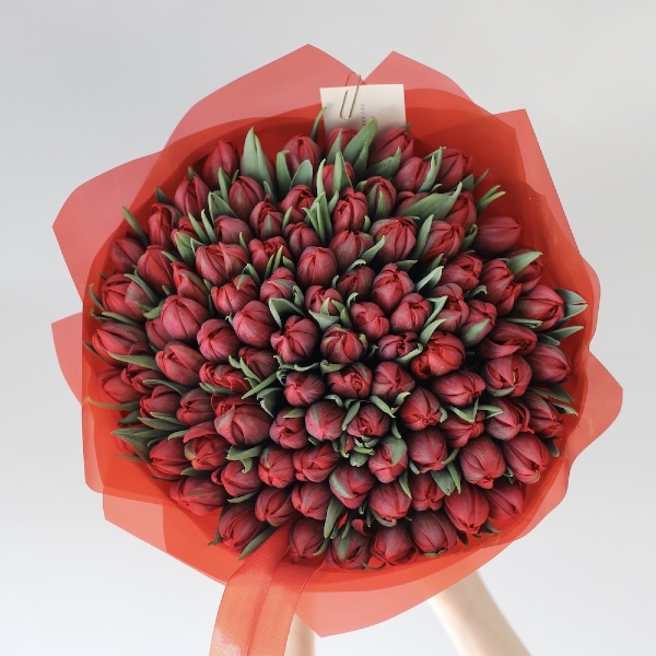 Red Tulips - 99 тюльпанов