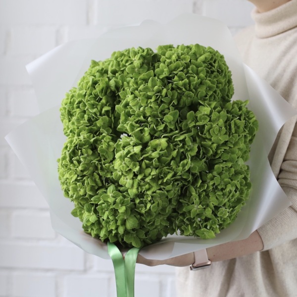 Colombian Hydrangeas - 9 гортензий