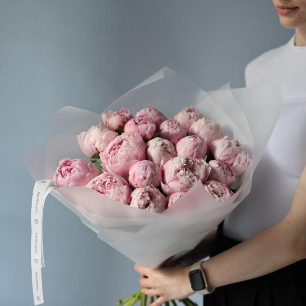 Pink Peony - 19 пионов