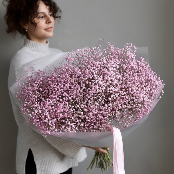 Pink Baby's Breath -  25 гипсофил 