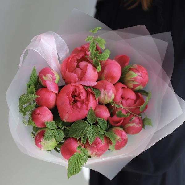 Coral Peony - 15 пионов