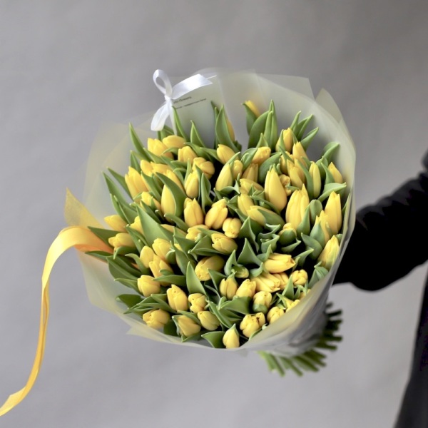 Yellow Tulips -  75 тюльпанов