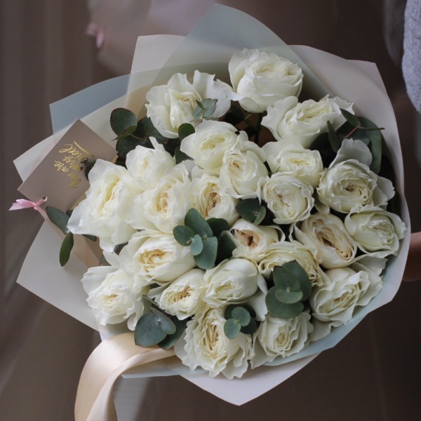 White Cloud David Austin Rose - 23 розы с зеленью 