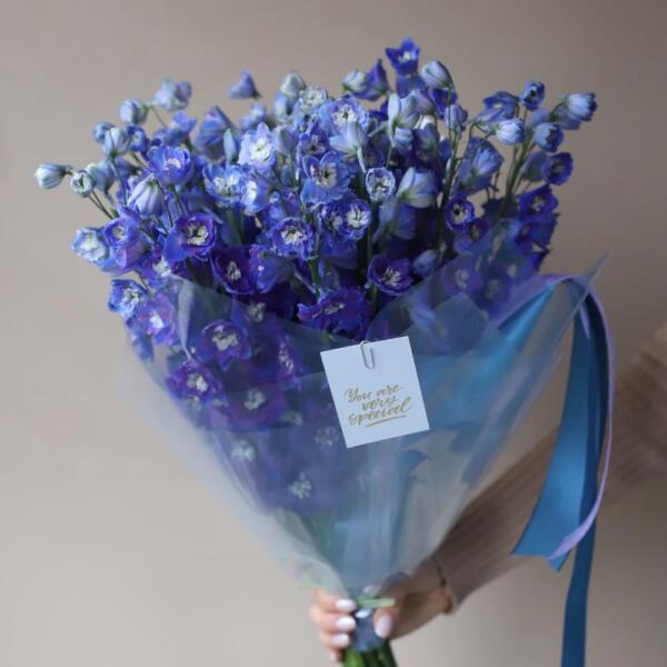 Blue Delphinium - 19 дельфиниумов 