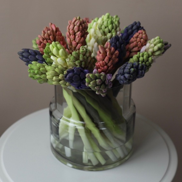 Hyacinthus in a vase - 25 гиацинтов (ваза может отличаться)