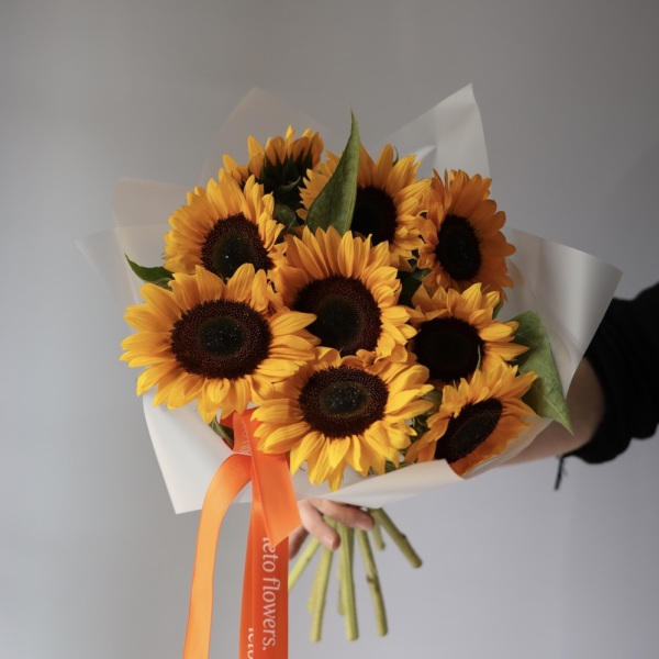 Sunflower - 9 подсолнухов