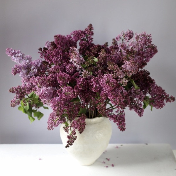 Local Lilac in a vase - Размер M (ваза может отличаться)