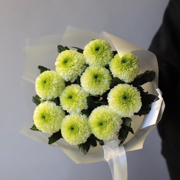 White Chrysanthemum - 9 хризантем