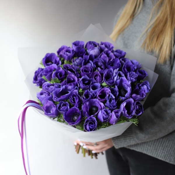 Purple Anemone - 49 анемон