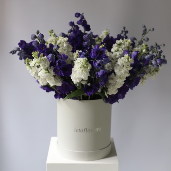 Stock and Delphinium in a hat box - Размер L