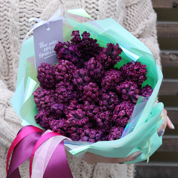 Purple Hyacinthus - 25 гиацинтов