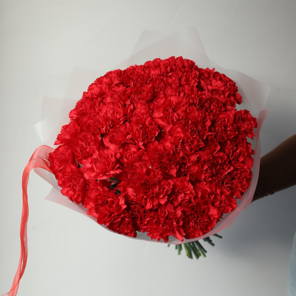 Red carnations - 49 гвоздик