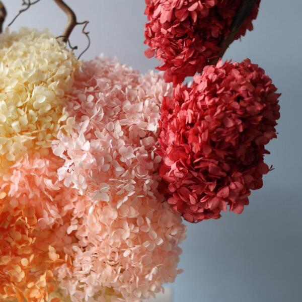 Arrangement of Preserved Hydrangeas in a Pot