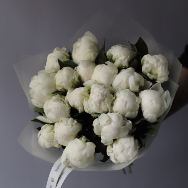 White Peony - 19 пионов