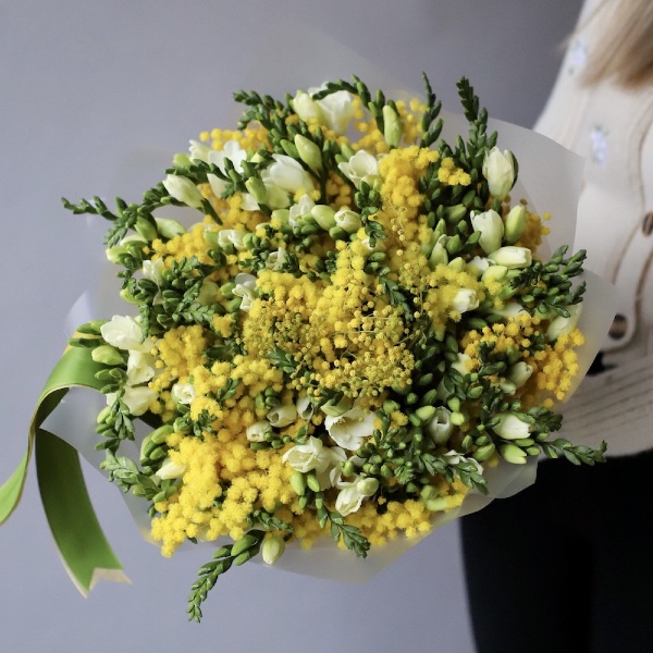 Mimosa with Freesia - Размер L