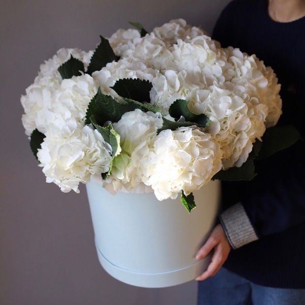 Hydrangea in a hat box - Размер XL