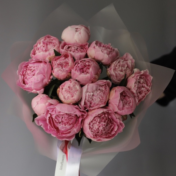 Pink Peony -  15 пионов 