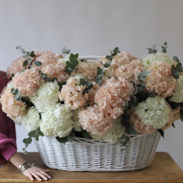 Basket of Colombian Hydrangeas - Размер 4XL